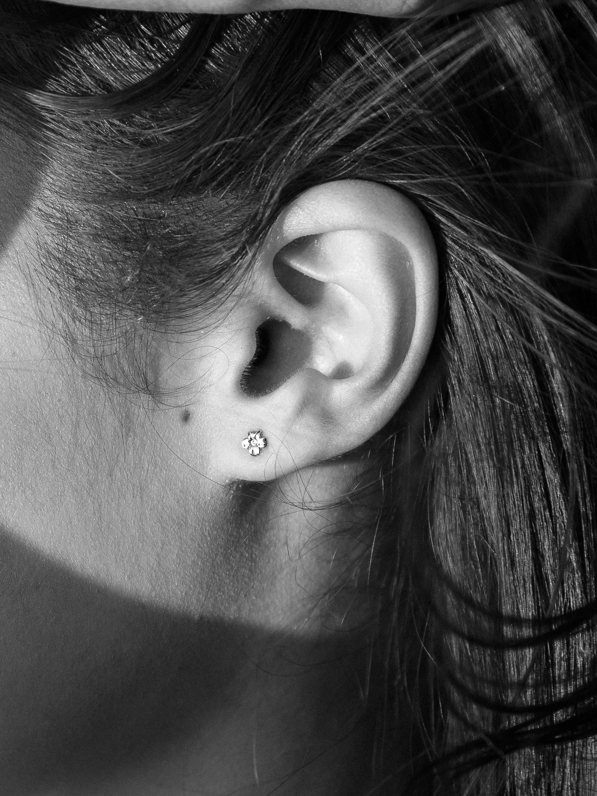 Bloom studs zilver