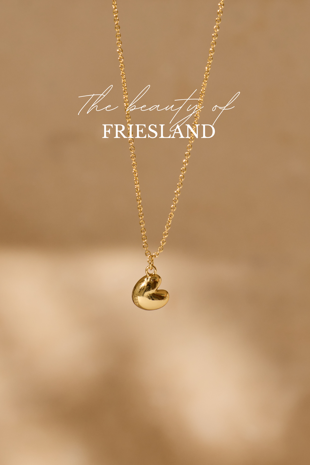 Pompeblêd Kette Friesland Vergoldet / Silber