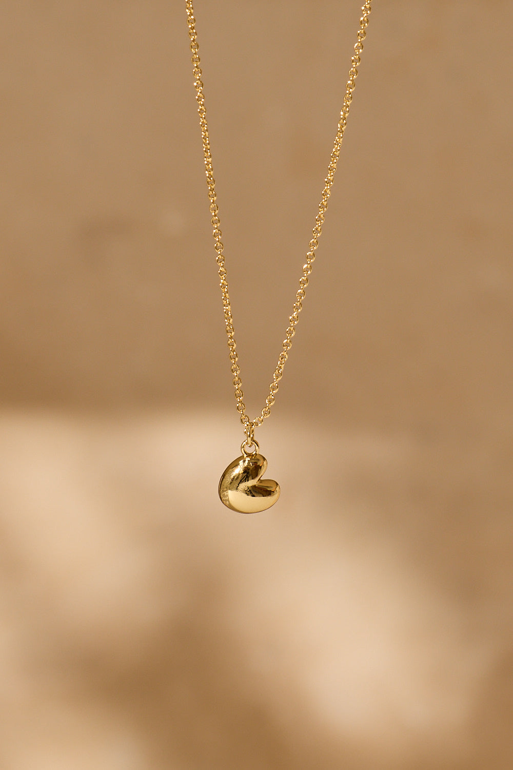 Pompebled ketting-perfect fries cadeau-moederdag