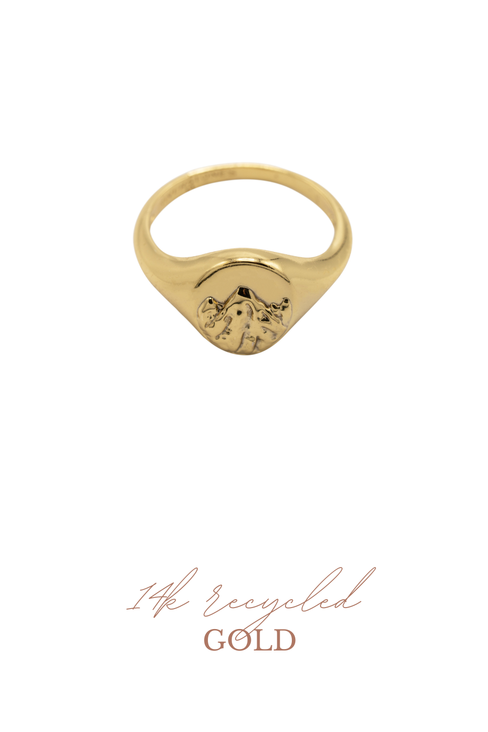 Berg ring 14k goud FJALL