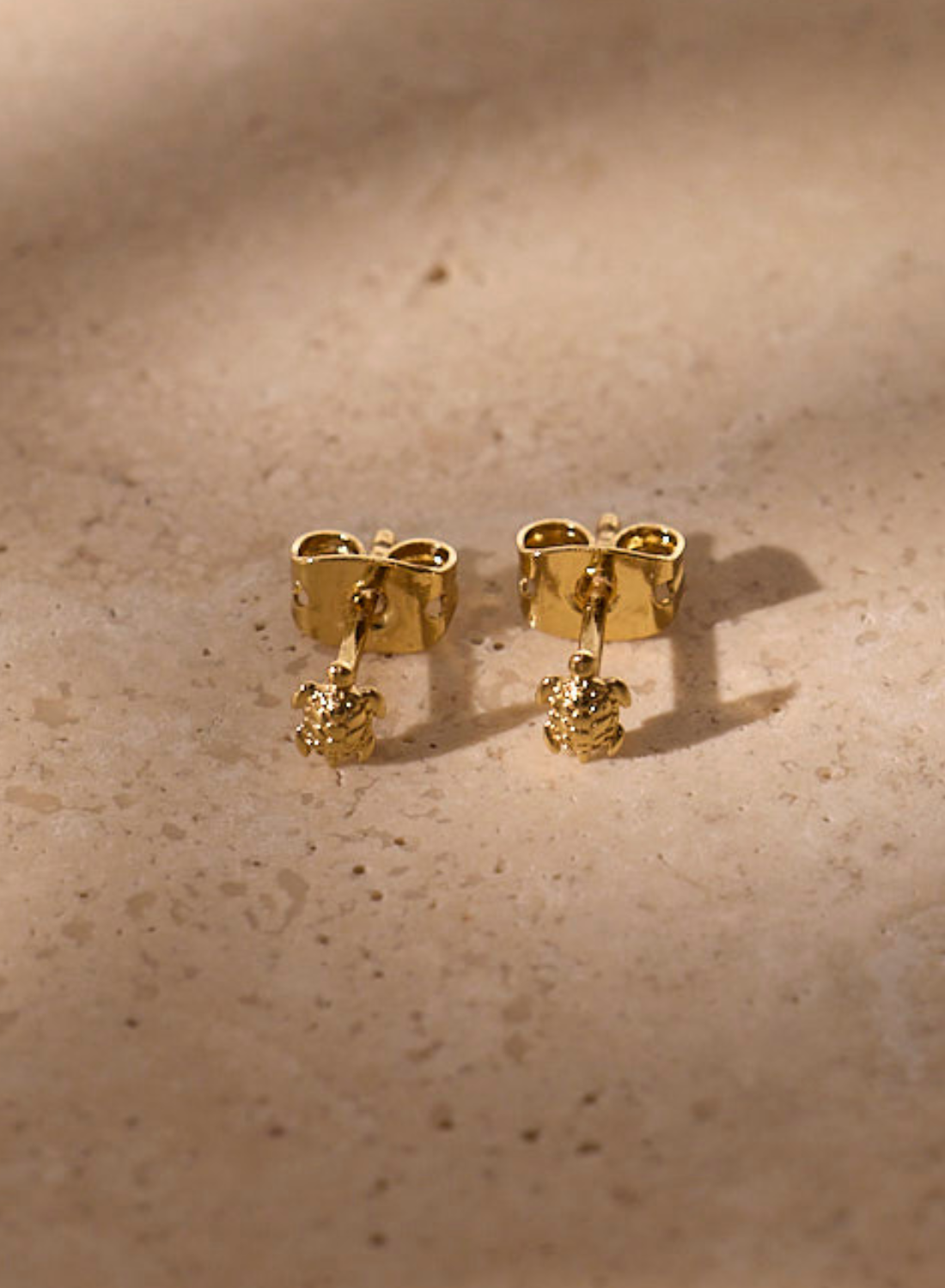 Schildpad studs