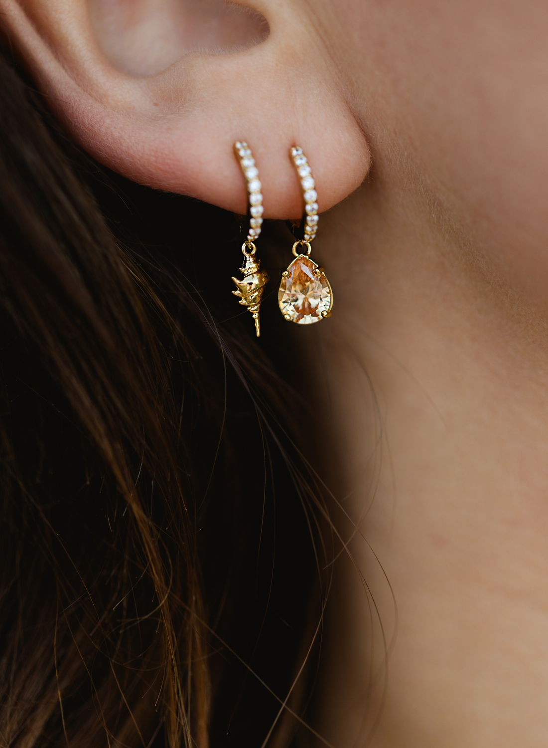 shell hoops 5