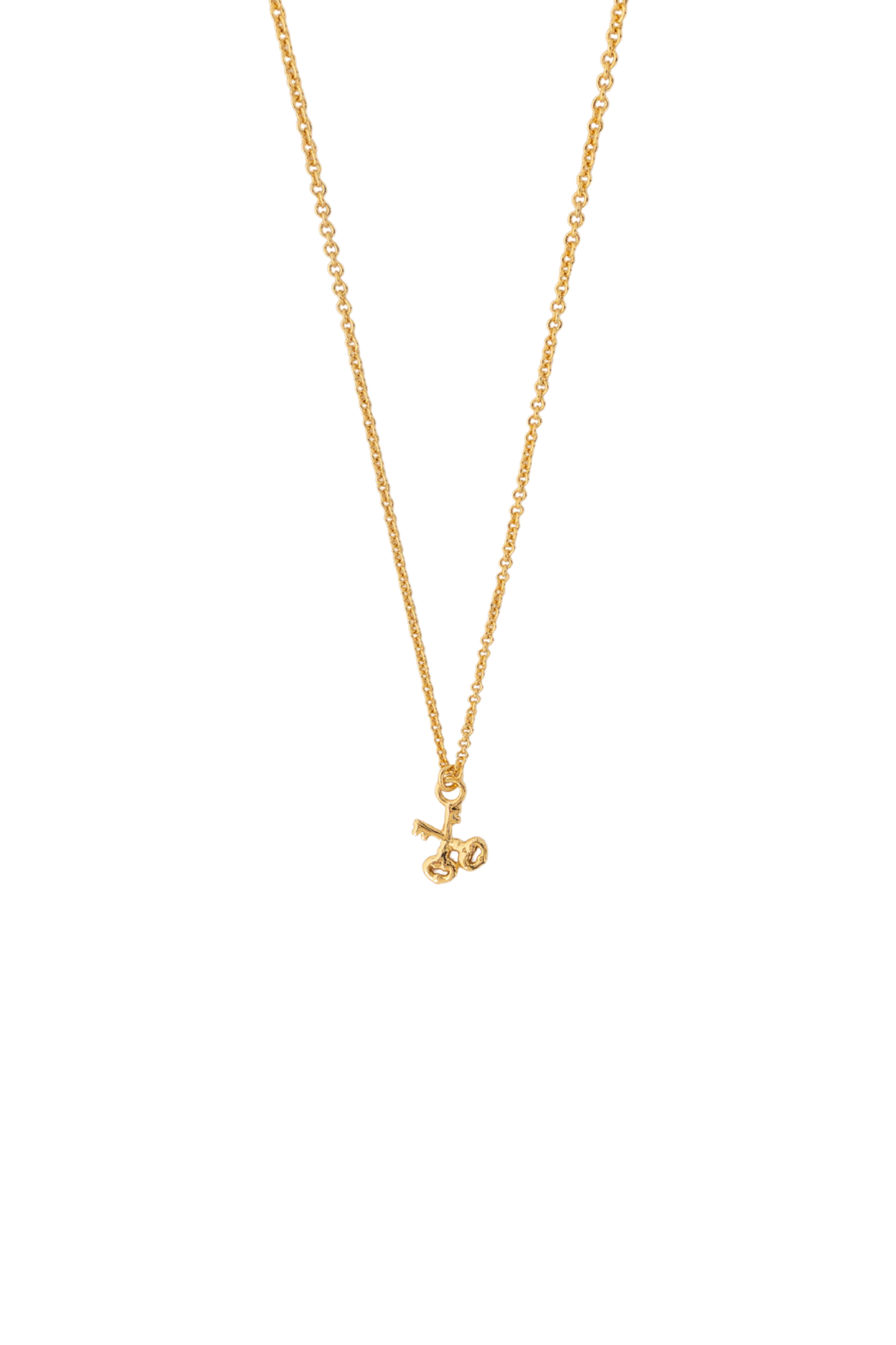 sleuteltjes-ketting-leiden.jpg-2