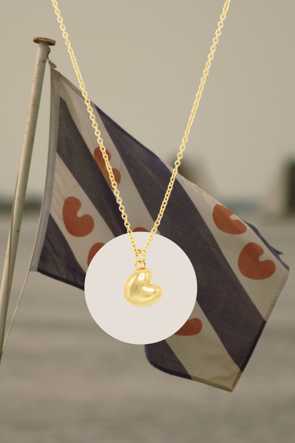 Pompeblêd Kette Friesland Vergoldet / Silber