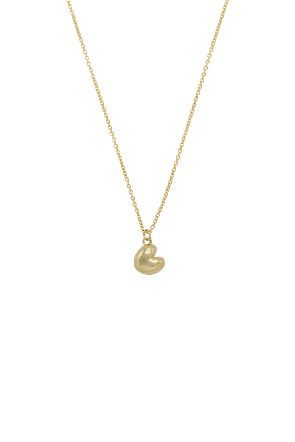 Pompeblêd Kette Friesland Vergoldet / Silber